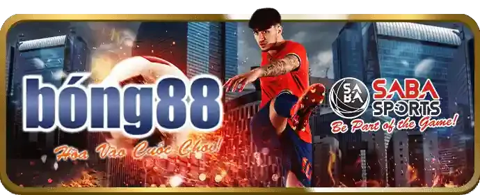 Chương Trình VIP wim23